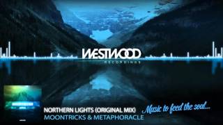 Moontricks & Metaphoracle - Northern Lights (Original Mix) chords