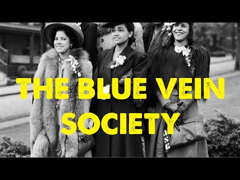 Čo je to spoločnosť modrej žily?