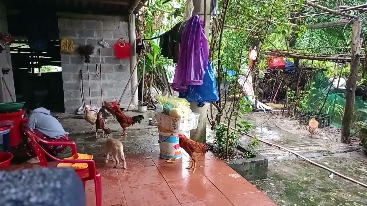 Rural Living: Embracing Simplicity and Nature