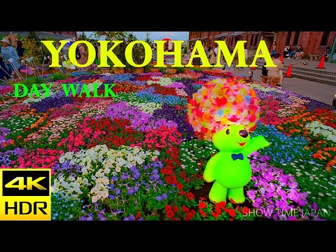 Yokohama Japan, Day Walk, Tourist Attractions, 4K HDR