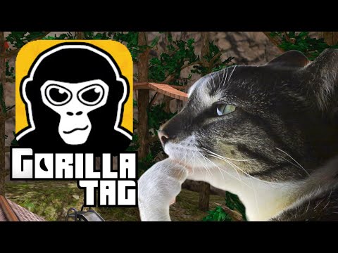 The AVERAGE Gorilla Tag Experience…💀