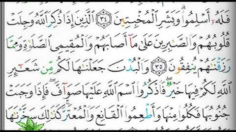 مصحف التجويد صفحة 336                               ابراهيم الأخضر