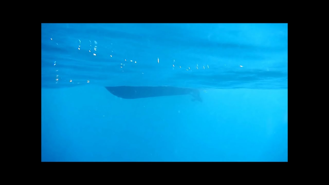 あわびおこし集 素潜り漁 第七神祐丸 国立公園 隠岐ジオパーク 隠岐 島前 西ノ島 Youtube あわびおこし集 素潜り漁 第七神祐丸 国立公園 隠岐ジオパーク 隠岐 島前 西ノ島 Youtube