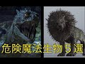 ハリーポッターに出てくる危険魔法生物５選