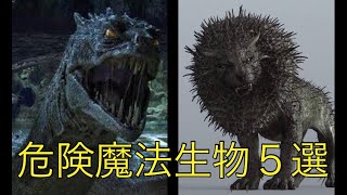 ハリーポッターに出てくる危険魔法生物５選