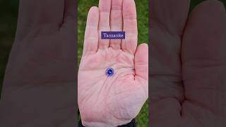 Birthstones by Month | December is Tanzanite, Turquoise and Zircon! #shorts