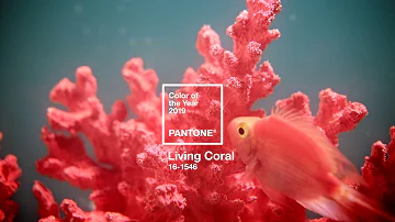 What Pantone color is living Coral?