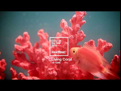 Pantone Color of the Year 2019 – Living Coral