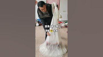 finding nemo fishing net rescue  #fishing #catching #netting