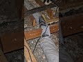 Duct leak in the attic - Duct dinosaur 🦕- #hvac #hvaclife #hvacrepair #hvactechnician #ductwork