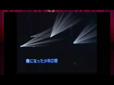 ＴＨＥ　Ｃｈｅｃｋａｒｓ　　鳥になった少年の歌