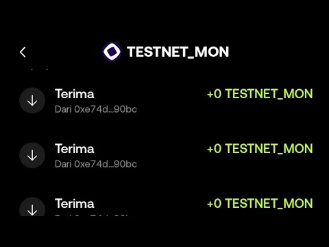 Tutorial Buat Bot auto TX antar wallet monad testnet