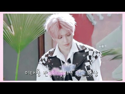 [NCT 태용] 이태용 반응이 웃긴 영상