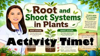 Science 4 Term 1 Week 8-9 | Root and Shoot Systems in Plants (Activities) | Teacher Beth Class TV