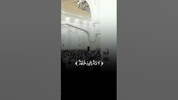 خشوع وهدوء في تلاوة آيات بينات من #سورة_إبراهيم بصوت القارئ الشيخ #عبدالحكيم_الصافي