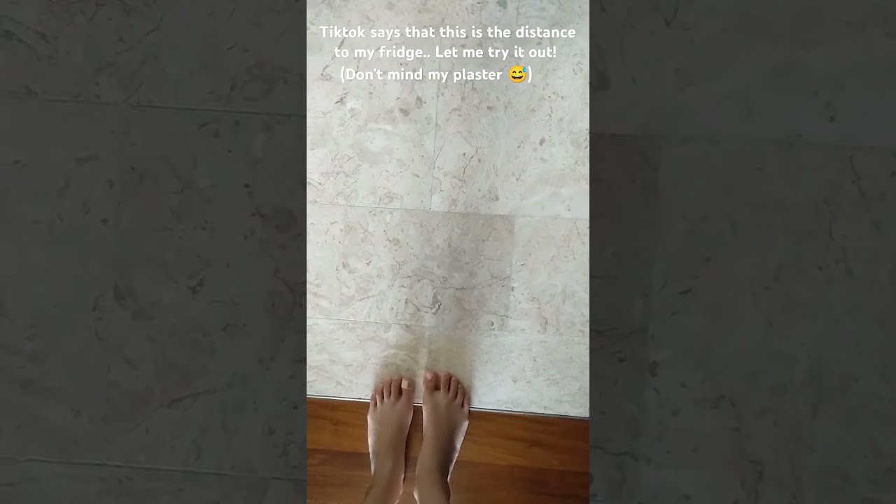 HOW Floor Fridge Foot Reveal Wait They All Start With F Shorts House