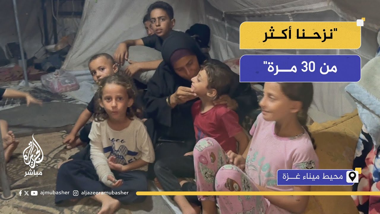 النازحون في ميناء غزة بين الموت والصمود