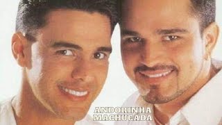 Andorinha Machucada - Zezé Di Camargo e Luciano Acapella