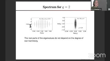 Jacobus Verbaarschot: Chaos and Relaxation in a Dissipative Sachdev-Ye-Kitaev Model