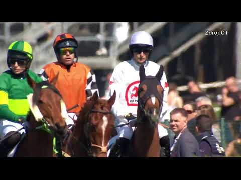 THREE PRINCESS (IRE) - Pardubice 18.04.2026
