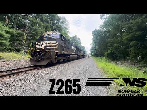 THE TRAIN TRACKER #6 NS 265 GIVE ME A VERY GOOD HORNSHOW!