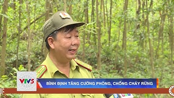 BÌNH ĐỊNH TĂNG CƯỜNG PHÒNG CHỐNG CHÁY RỪNG  | VTV5