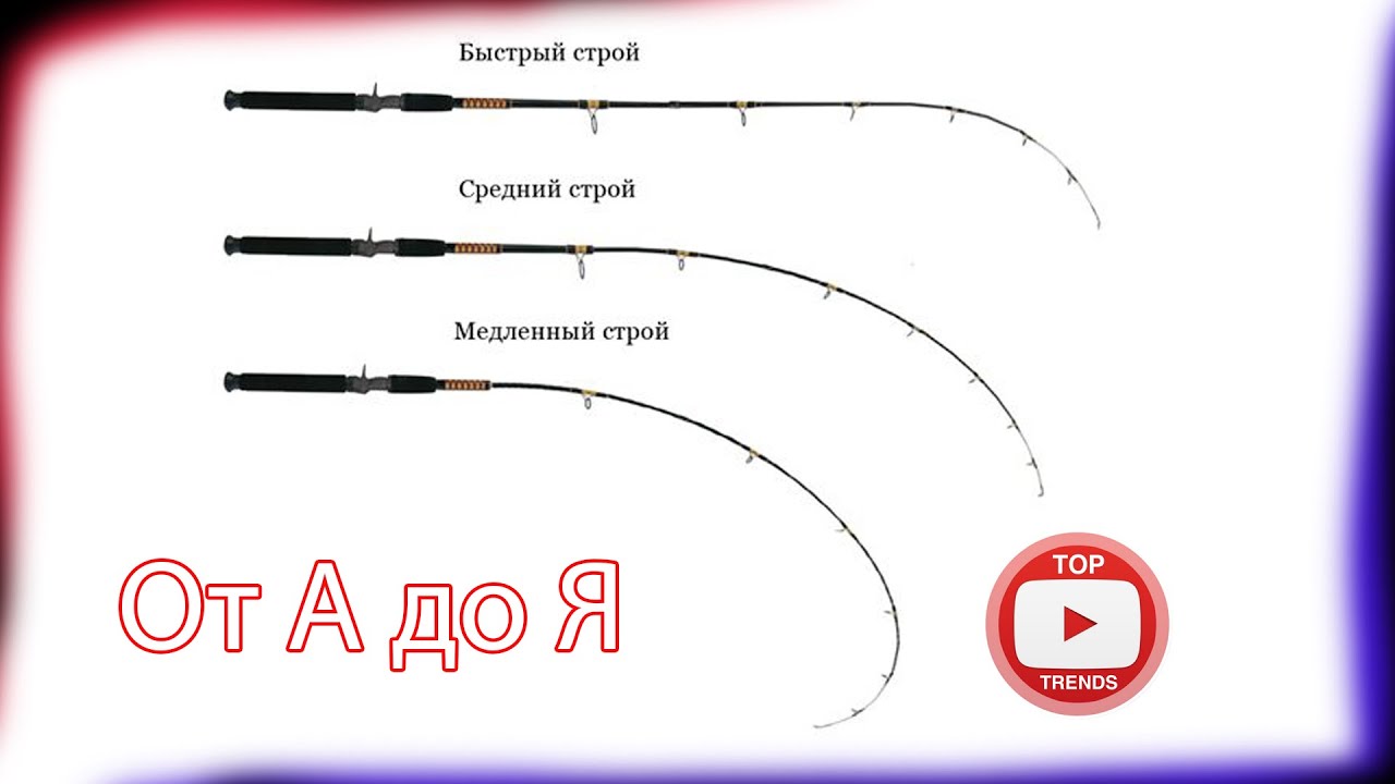 Оборудование для ловли карпа от А до Я Удилища и катушки Честный обзор ...