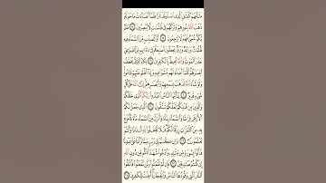 صفحه للحفظ والتثبيت من سورة البقرة ص4 ( 17/ 24)