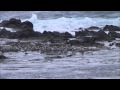 女の海峡 ハーモニカ