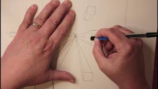 A Fresh Perspective