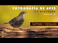 Fotografía de Aves en bebedero 2a parte: Captura y Revelado