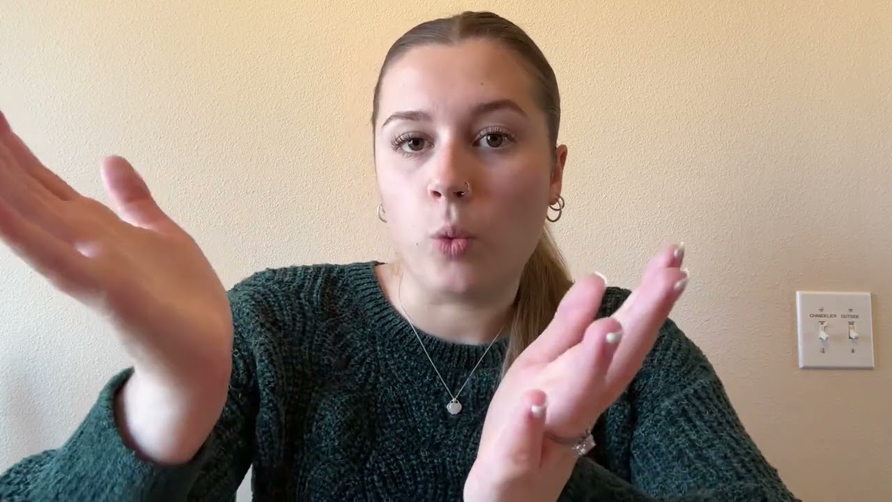 MSc in International Business, Universitat de Barcelona - Video Pitch - Brenna Belluomini