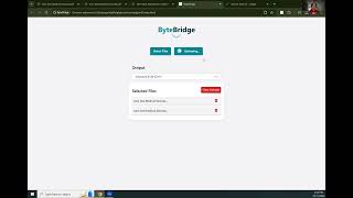 ByteBridge Demo Profile