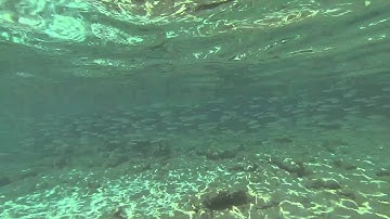 GoPro - Caribbean sea in Curacao, the Netherlands Antilles