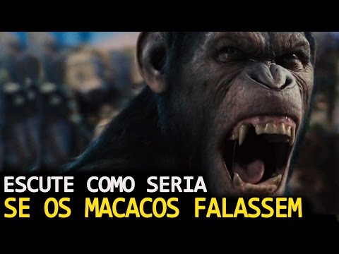 Vídeo: Os Macacos Podem Falar Como Humanos? - Visão Alternativa