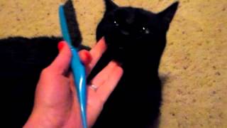 Boss comb-comb-over wet nose - Босс Зачес Зачесович - Мокрый нос)))LOL Boss comb-comb-over wet nose - Босс Зачес Зачесович - Мокрый нос)))LOL
