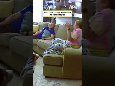This is how our dog let me know he wanted to play