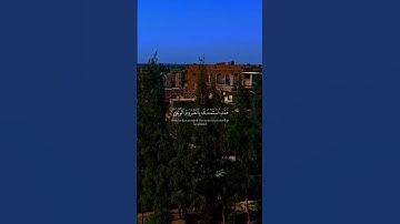 سوره لقمان من الايه 20 الي الايه 23 | الشيخ ياسر الدوسري