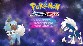 Shiny Rockruff Evolving Into Shiny Midnight Lycanroc - Pokemon Sword & Shield