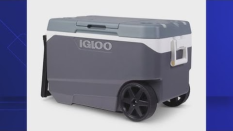 More than a million Igloo rolling coolers recalled after fingertip amputations