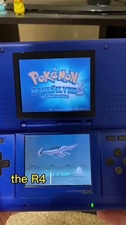 Your Nintendo DS Needs This