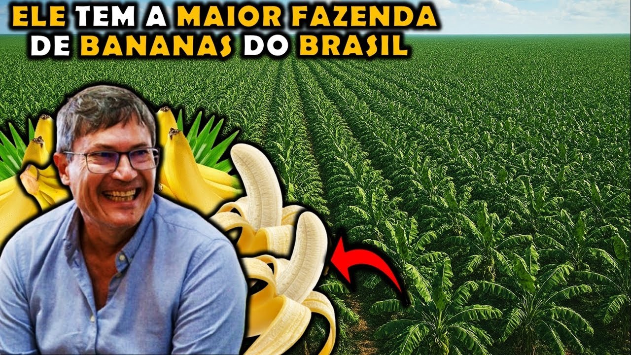 O REI da BANANA! Essa FAZENDA é a MAIOR do Brasil! 🍌🏆