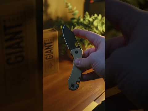 Limited-Run: ACE Atelier - Flat Brass