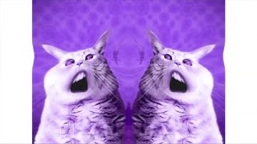 Numa Cat In V Major Blind RJ KUMAR VERSION OF I KILLED Reversed