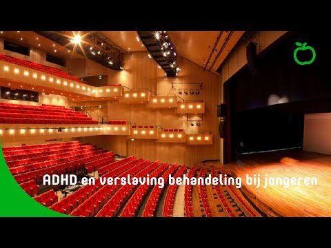 Video: Onderzoek Naar De Sterke Link Tussen ADHD En Verslaving