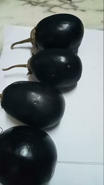 eggplant-dream-interpretation-meaning-in-english-shorts-youtube