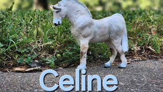 My Custom Fjord horse mare (Celine)