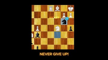 Never Give Up! ♟️☠️