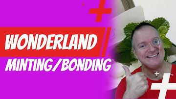 How to Mint Your $TIME on Wonderland For Higher Profit! - Step by Step 🤑