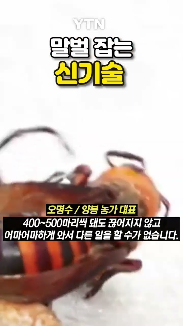 말벌 잡으러 드론 출동 #shorts / YTN